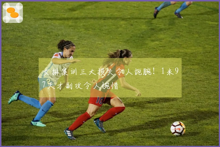 女排集训三大损失令人扼腕！1米97天才副攻令人惋惜