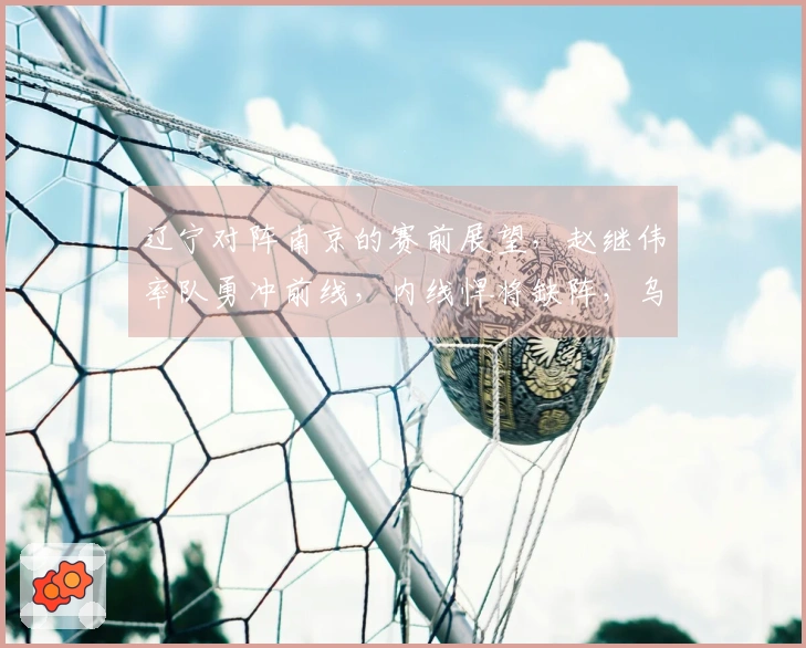 辽宁对阵南京的赛前展望，赵继伟率队勇冲前线，内线悍将缺阵，乌戈期待年轻球员再创佳绩
