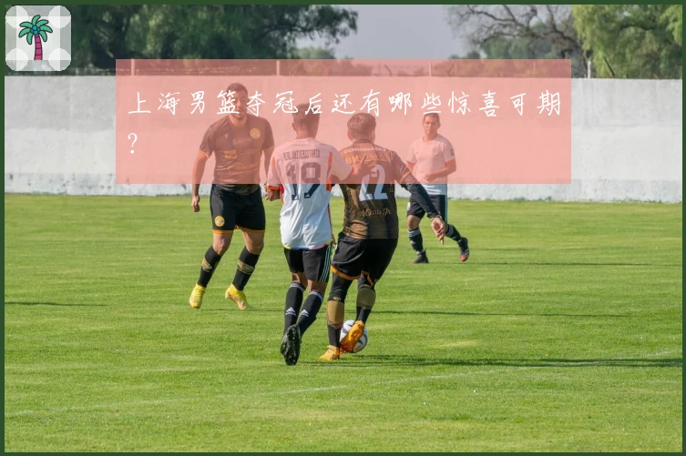 上海男篮夺冠后还有哪些惊喜可期？