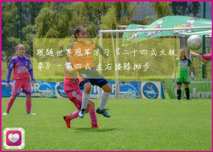 跟随世界冠军学习《二十四式太极拳》 - 第四式 左右搂膝拗步