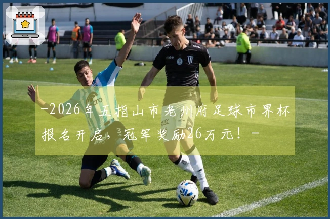 -2026年五指山市老州府足球市界杯报名开启，冠军奖励26万元！-