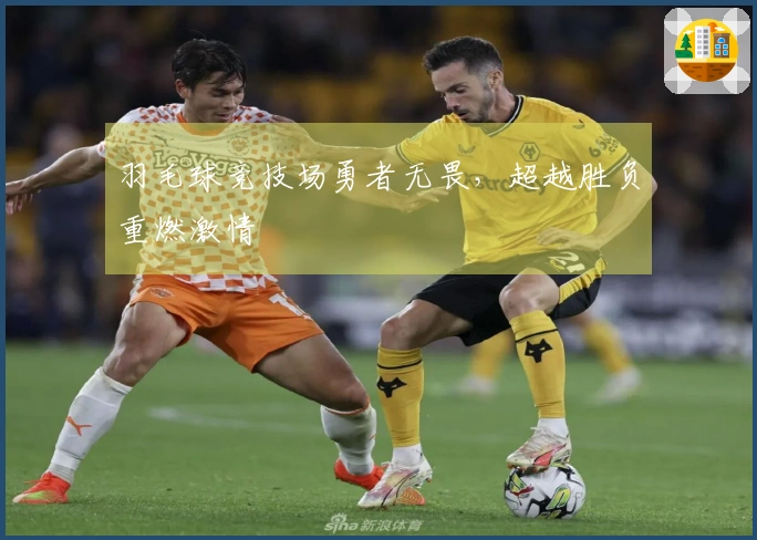 羽毛球竞技场勇者无畏，超越胜负重燃激情