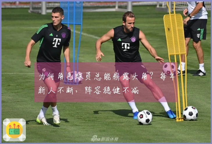 为何角色球员总能崭露头角？每年新人不断，阵容稳健不减